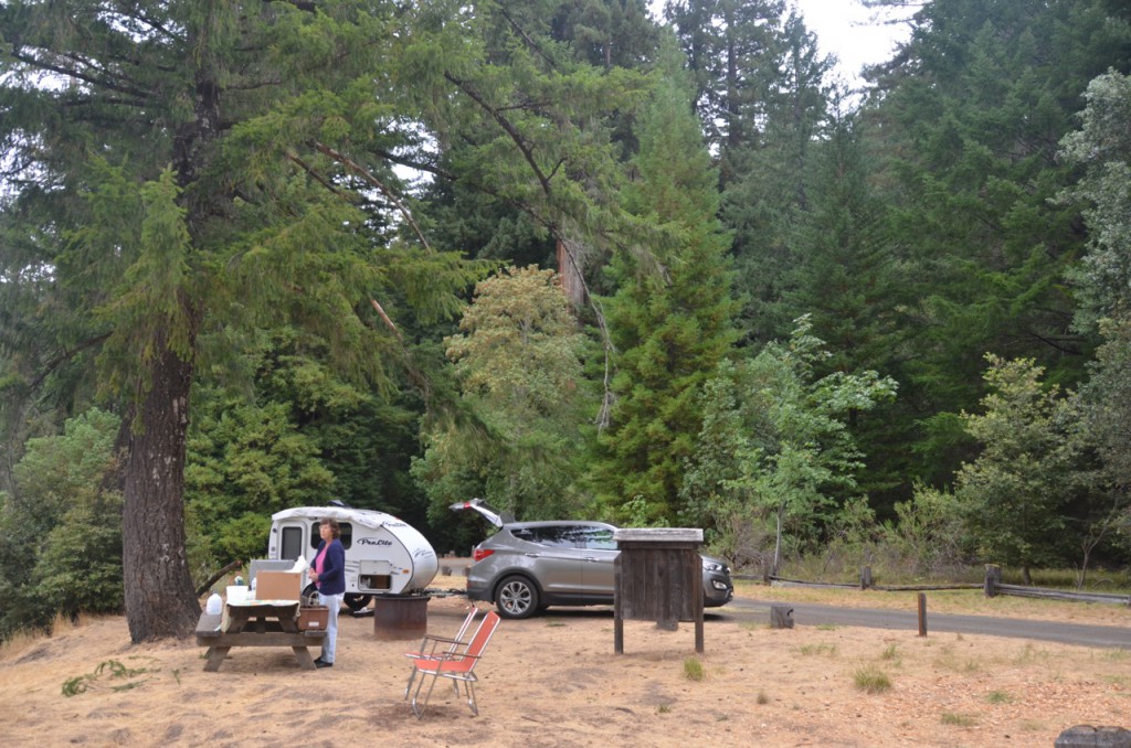 Camping in the Redwoods SmallRVs