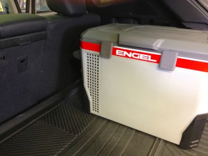 engel1